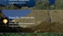 Dina’s Flower House - Foto 5