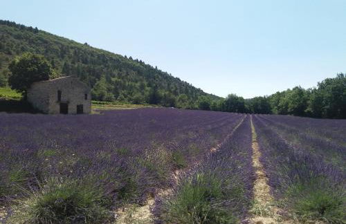 maisonnette le cabanon - Foto 23