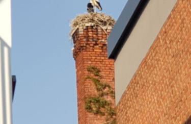 Ferienwohnung am Rathaus - Foto 20