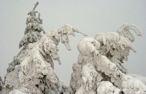 Ferienwohnung Waldstraße - Foto 27