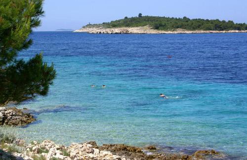 Apartments with parking space Bilo, Primosten - 12868 - Photo 21