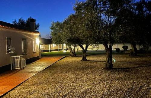 Casa das Oliveiras - Foto 48