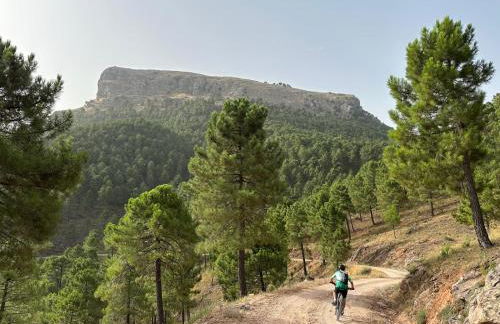 Casa Rural Doña Carmen - Foto 32