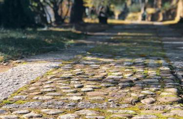 La Iglesuela - Photo 13