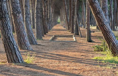 Casa vacanza - Villa Dalila - Photo 8