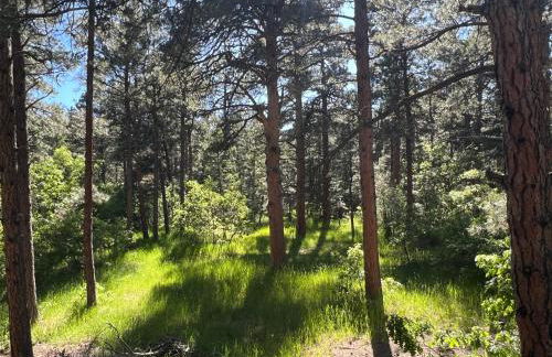 Cozy Cabin on the Creek - Foto 34