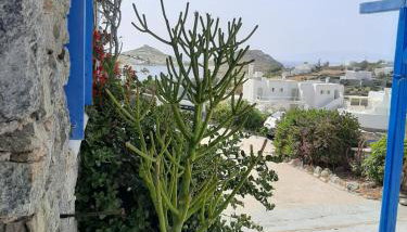 Chaniotis Studios - Foto 4