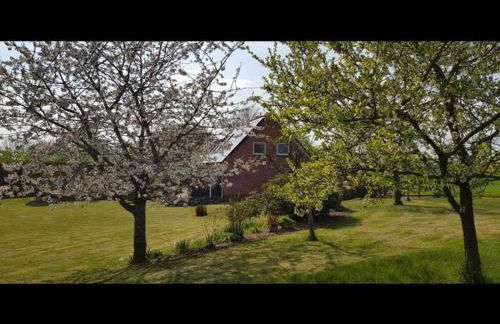 Ferienhaus Anneliese an der Schlei - Foto 15