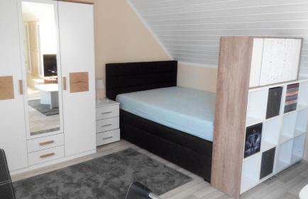 1 Zimmer Apartment mit Kochecke und Bad - Foto 2