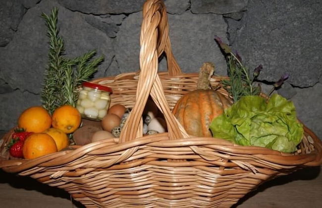 Make It Happen Farm - Foto 21