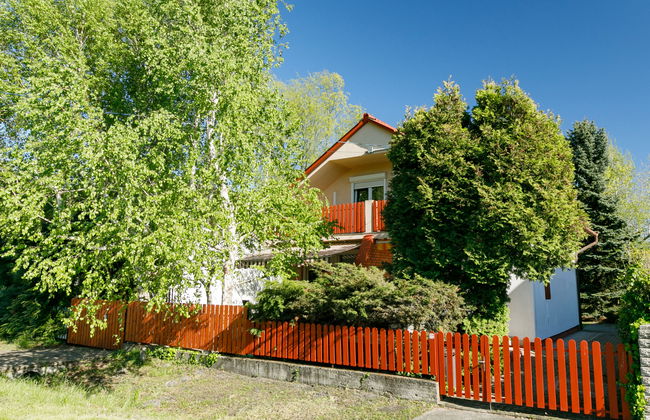 Mathias Rex - Foto 1