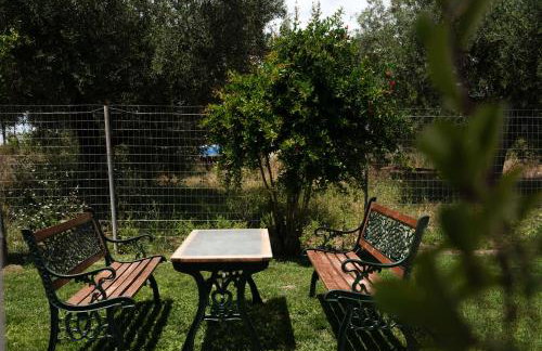 Dimitras Home - Foto 44