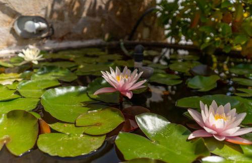 Appartamento Amare 1 - Foto 6