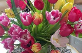 Villa am Stechlin - Foto 15