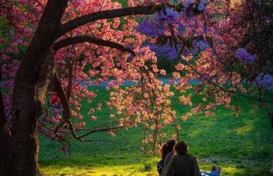 Central Park Plaza - Foto 39