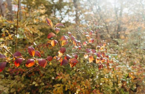 "Rocky Top" - Cozy RRG Cabin off Slade Exit! - Foto 31