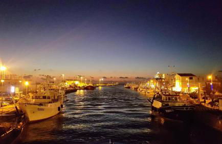 The Happy Nest - Foto 20