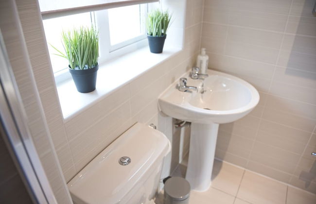 KVM - Swan House - Foto 36