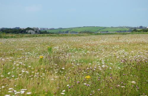 Lapwing - Uk6706 - Foto 16