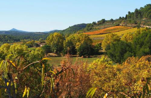 The Balcony Gîte - Riverside Lagrasse - Foto 42