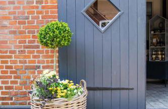 Studio Zwei - Foto 3