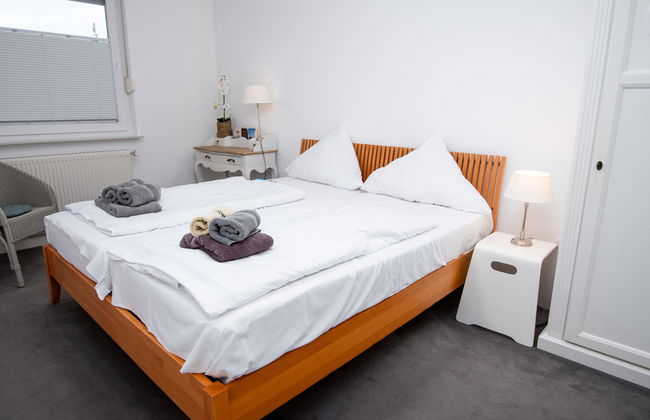 Kegelrobbe - Foto 18