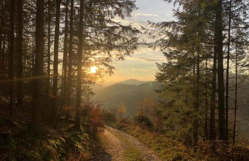 Jagthaus am Rappelstein - Foto 21