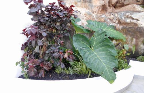 Casa Bamboo central Funchal Villa - Foto 25