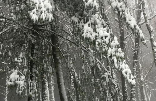 Casa do Ti Tóte - Foto 63