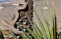Flamingos view apartment in Cabo de Gata - Foto 22