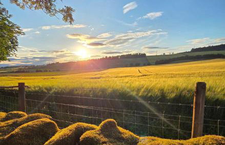 The Cairn at North Lodge, Rural Guest Suite - Foto 41