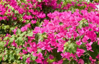 Valley View Studio Apartment Salakos - Foto 53