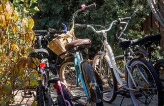 Gorgeous Eccentric Family Home with Cowboy Pool - Foto 8