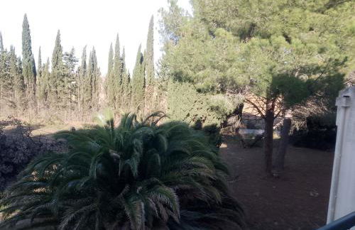 ANTIQUA ROMA - via temporis CXIV - Foto 48