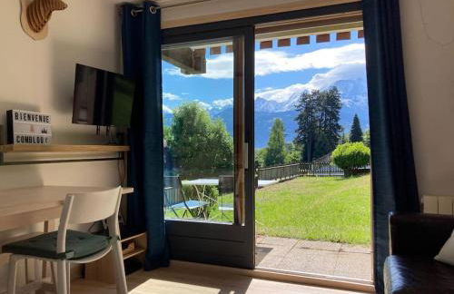 La marmotte: Vue Mont Blanc, terrasse, parking - Foto 19