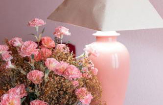 Jauregi - baskeyrentals - Foto 37