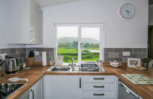 Riverside Chalet in heart of Lampeter, West Wales - Foto 27