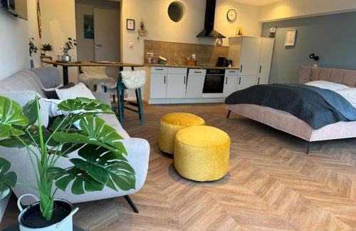 #9 Ommi Kese Drachen See-Suite Sauna Hund - Foto 1