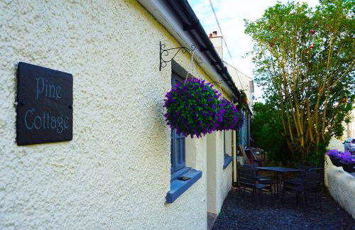 Staycation at Pine Cottage, a newly refurbished holiday cottage - Photo 13