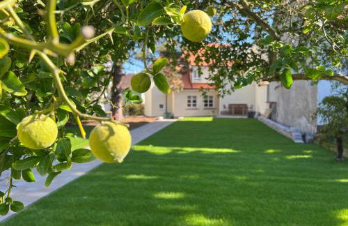 Das "Sommerhaus" in Bingen am Rhein - Foto 1