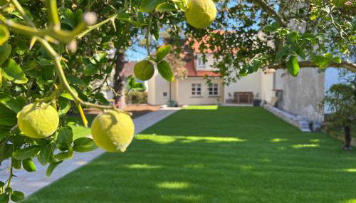 Das "Sommerhaus" in Bingen am Rhein - Foto 1, Garden