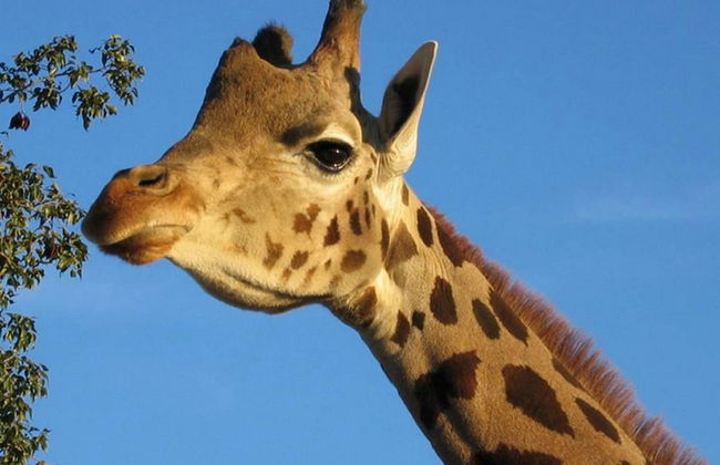 Parque Temático Oasys MiniHollywood - Foto 7