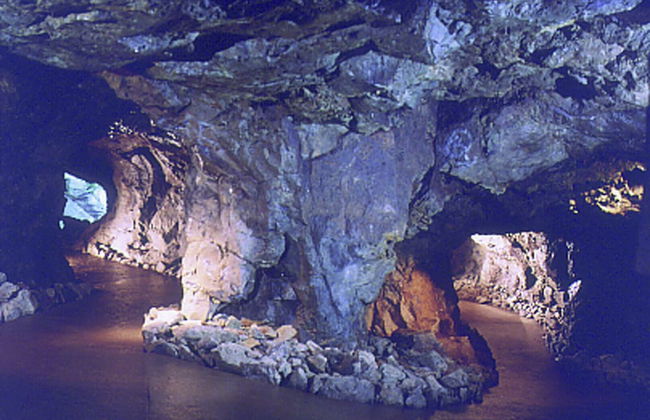 Ferienwohnung Algenrodt - Foto 10