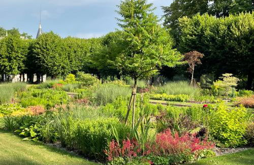 maison d'hôtes de l'orangerie 14 personnes - Foto 48