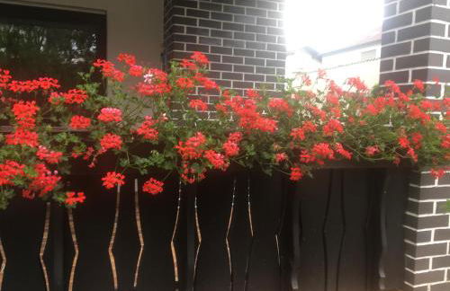 Ferienwohnung Hildenbrand - Foto 7