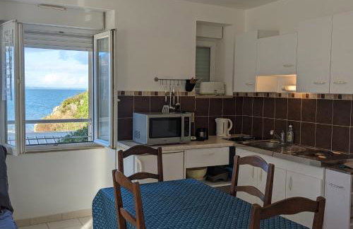 Appart vue mer-au pied du chemin de randonnée " Bassan" - Foto 23