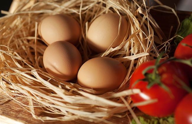 The Frames - Foto 38