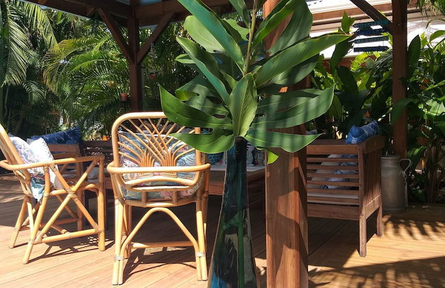 Gite Bois-Cannelle - Photo 28