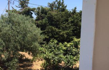 Koukounaries Studios - Foto 15