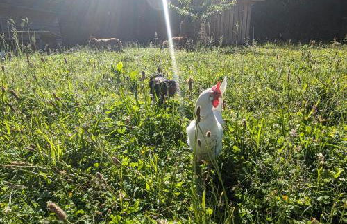 Au Ptit Bonheur De La Semoy - Foto 6